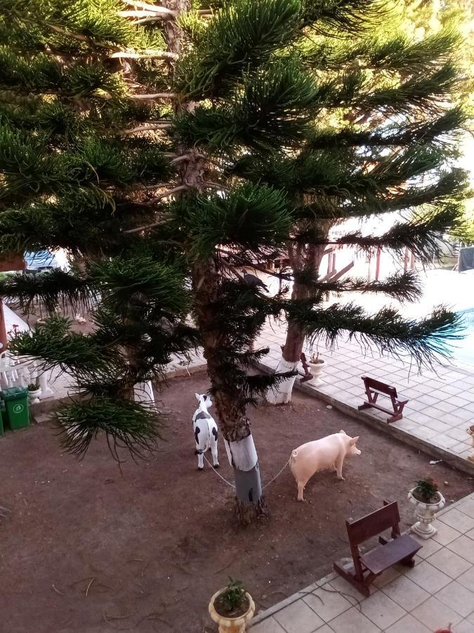 Anastasia Holiday Apartments Paphos Exterior foto